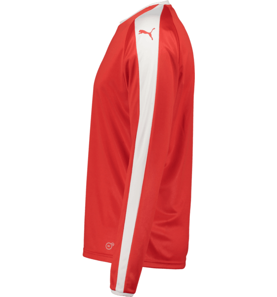 
PUMA, 
LIGA Jersey LS, 
Detail 3
