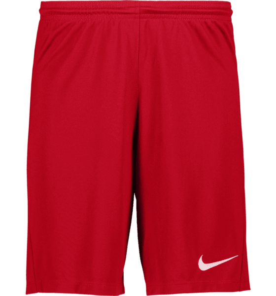 298936110102, PARK III SHORT, NIKE, Detail
