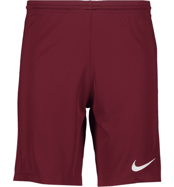 298936111101, PARK III SHORT, NIKE, Detail