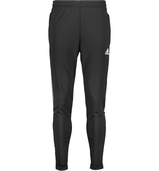 319028101102, TIRO 21 TRG PNT, ADIDAS, Detail
