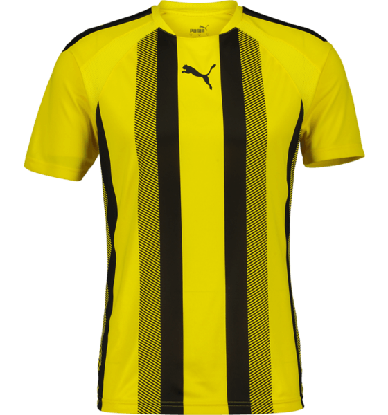 360819104106, T LIGA STRIPED JSY, PUMA, Detail