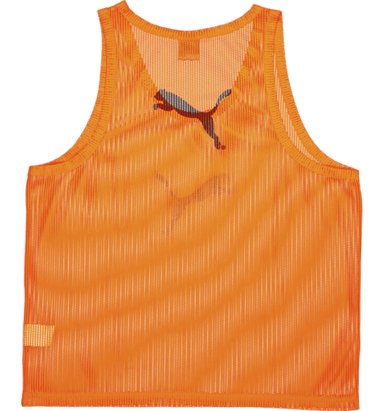 
PUMA, 
BIB, 
Detail 2
